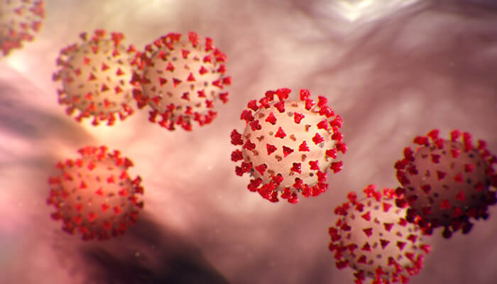 Image depicting the coronavirus cells