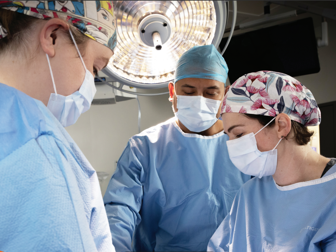 Screenshot 2026-02-16 152053