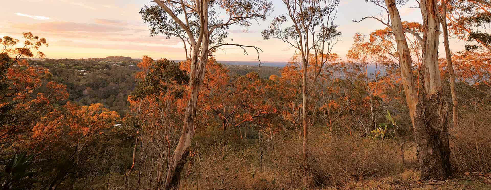 NSW workers compensation medical practitioner fees order commencing 1