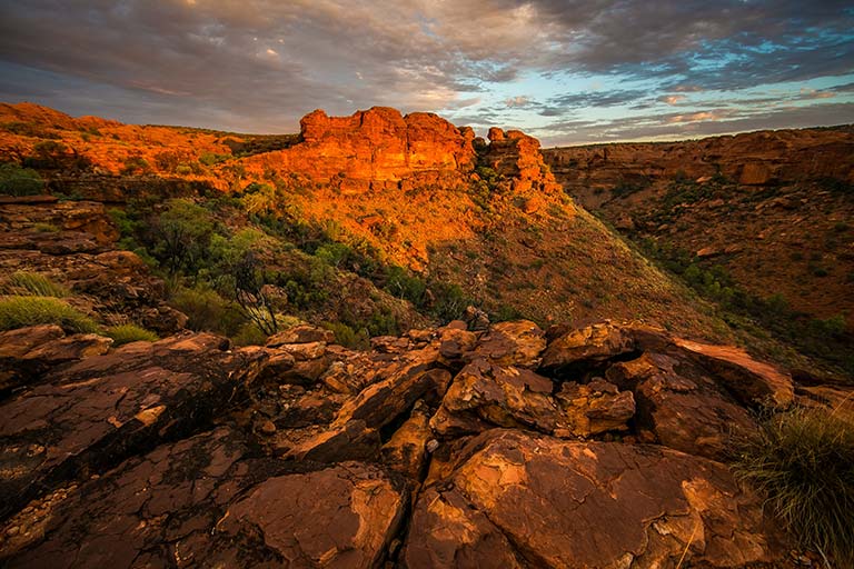 Rural Medicine Australia