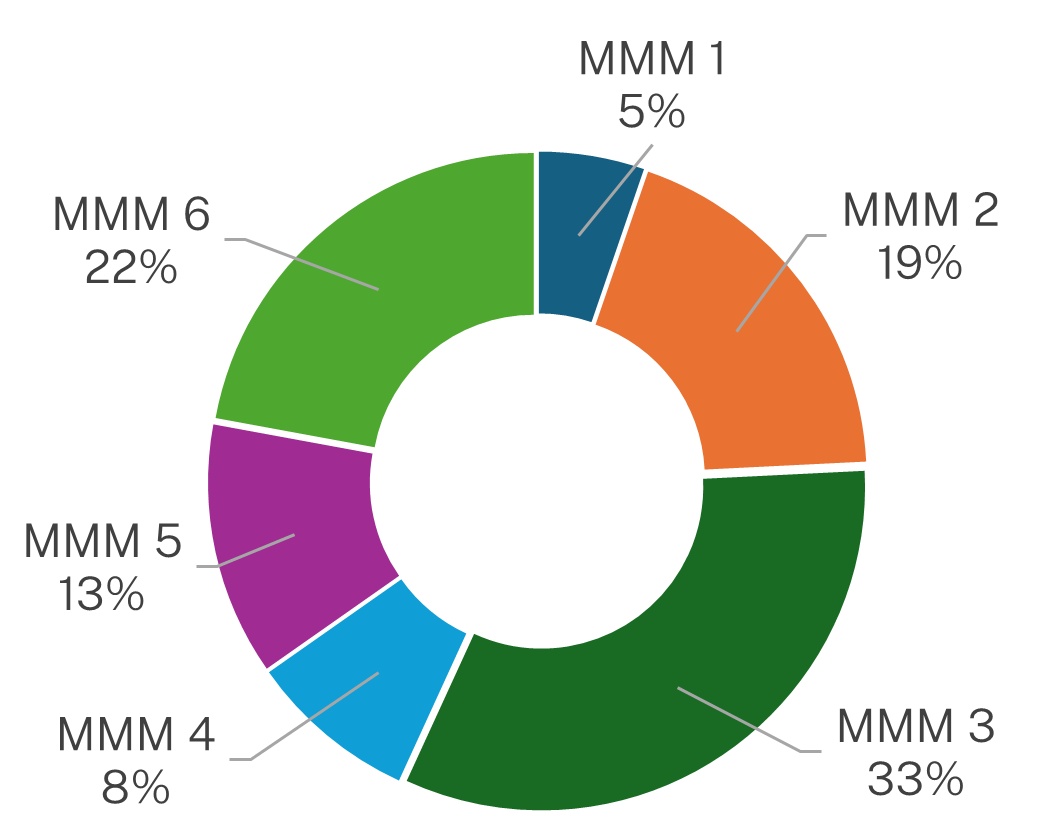 MMM Graph