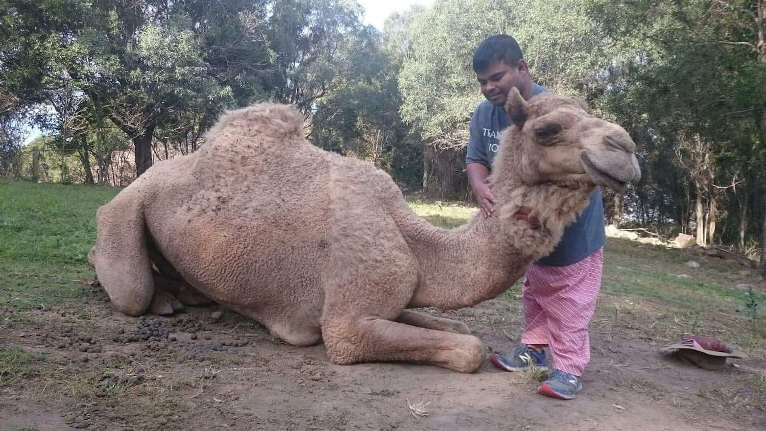 photo-abdullah-akram-4