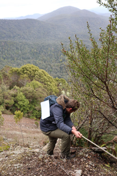 aaron-hawkins-tasmanian-mountains