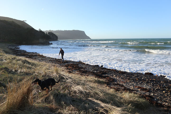 aaron-hawkins-tasmanian-shore